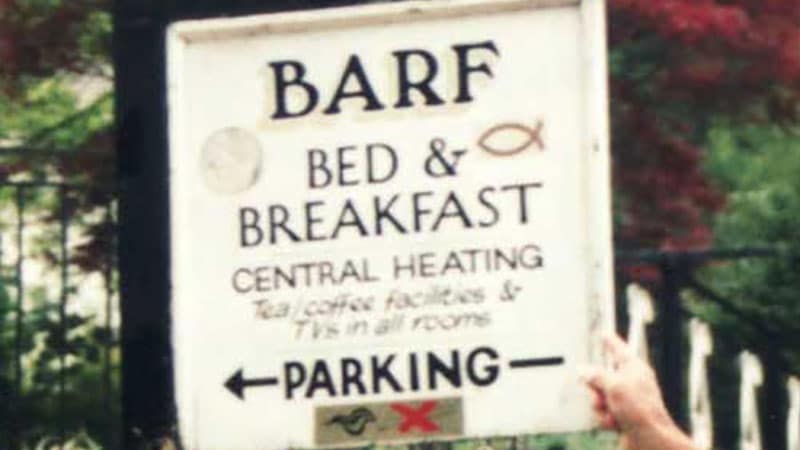Barf Bed Breakfast 15 sjukt dåliga (eller roliga?) företagsnamn