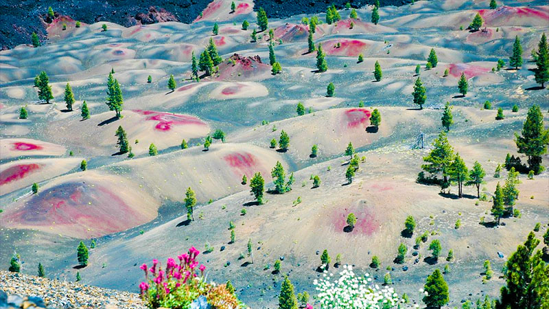 Painted Dunes 15 av världens vackraste platser