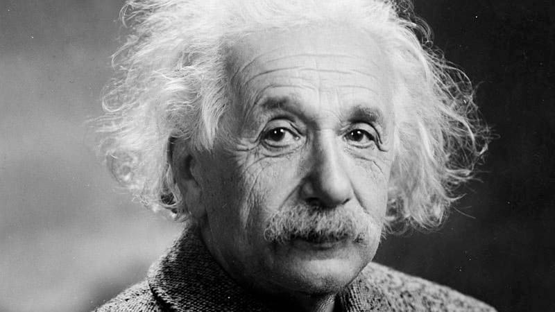 Einstein 15 kända vegetarianer